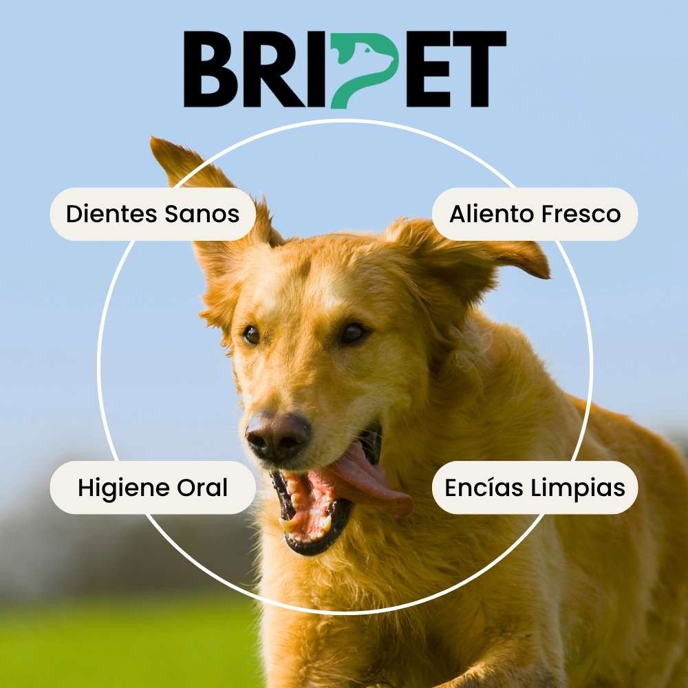BriPet™ Cuidado Oral y Frescura Diaria
